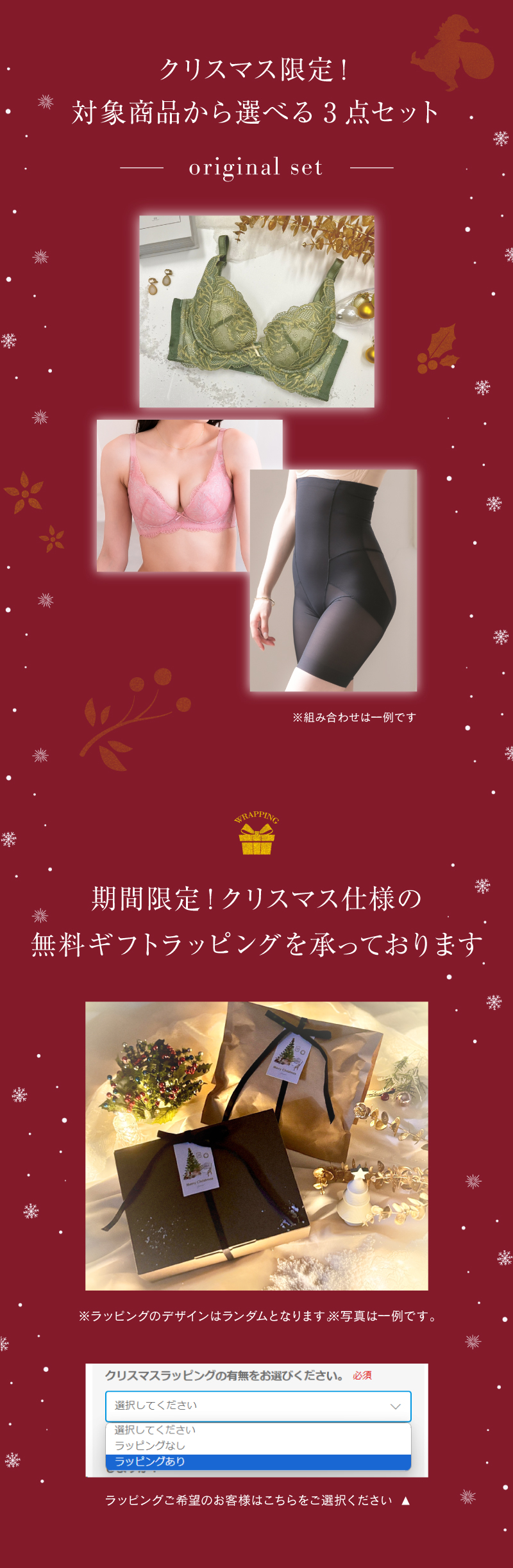 クリスマス限定セット 福袋 ブラショーツセット ブラジャー 育乳ブラ