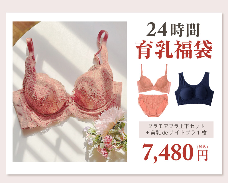 【新品】D65 グラモア　育乳ブラ　2セット