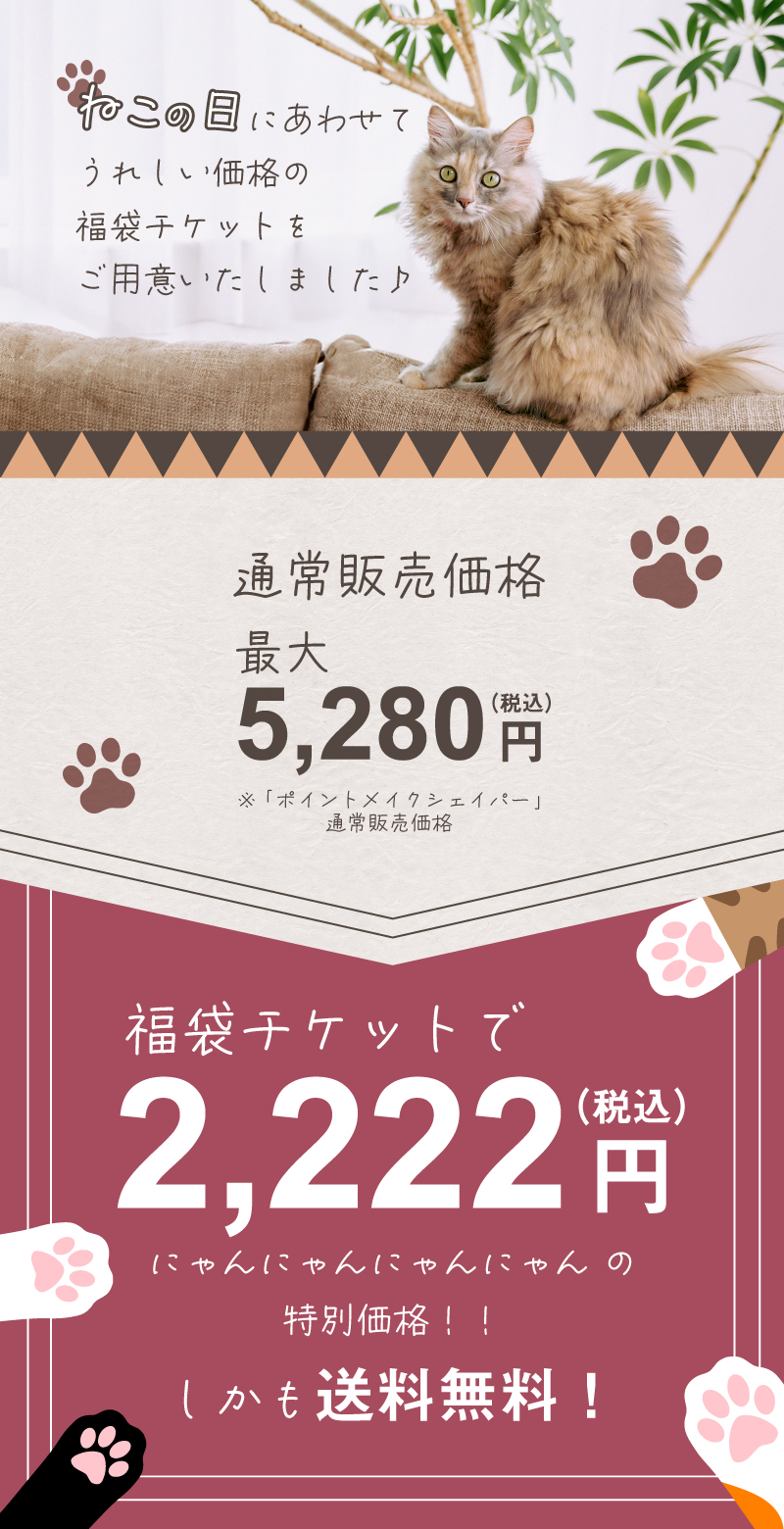 ねこの日福袋チケット