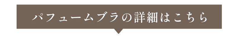 パフュームブラ3点セット 福袋 育乳ブラ
