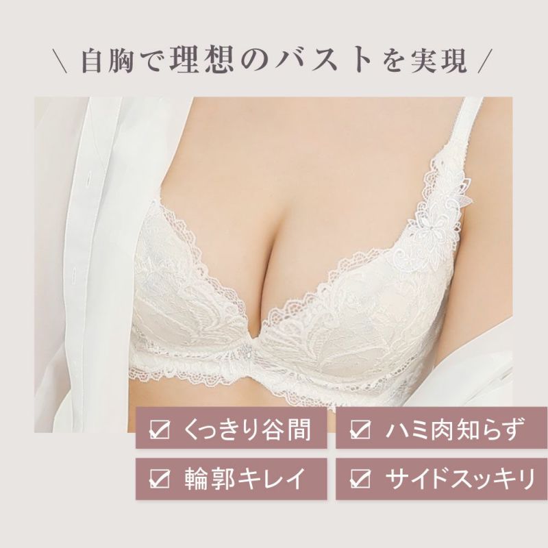 【マグロ】ブラジャーのみ northerly ブラジャー 「northerly bra フィットシリーズ 楽盛り