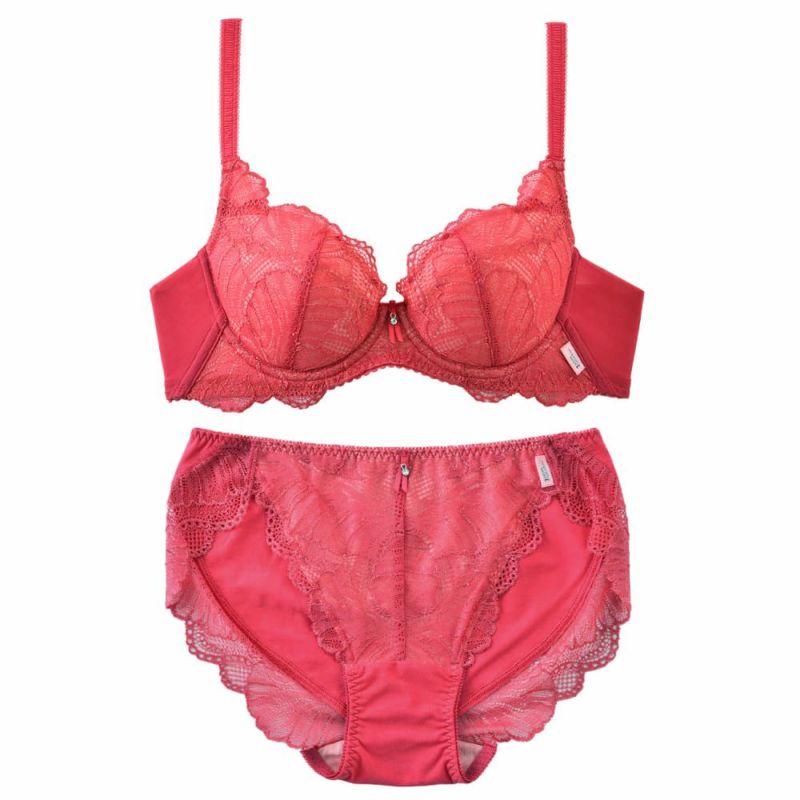 sarah collection スッキリしたバスト ハンサムブラ 上下セット